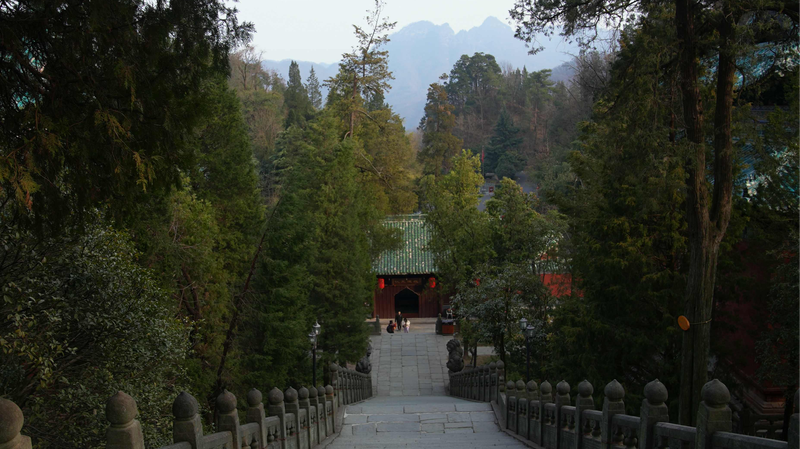 Unlocking_Wudang_s_Zixiao_Palace__Where_Tai_Chi_Meets_Royal_Splendor - News for amigos, by amigos Unlocking_Wudang_s_Zixiao_Palace__Where_Tai_Chi_Meets_Royal_Splendor