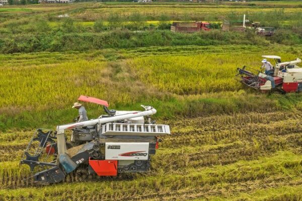 Safeguarding Farm Produce: Chinese Premier’s Food Security Call Safeguarding Farm Produce: Chinese Premier’s Food Security Call