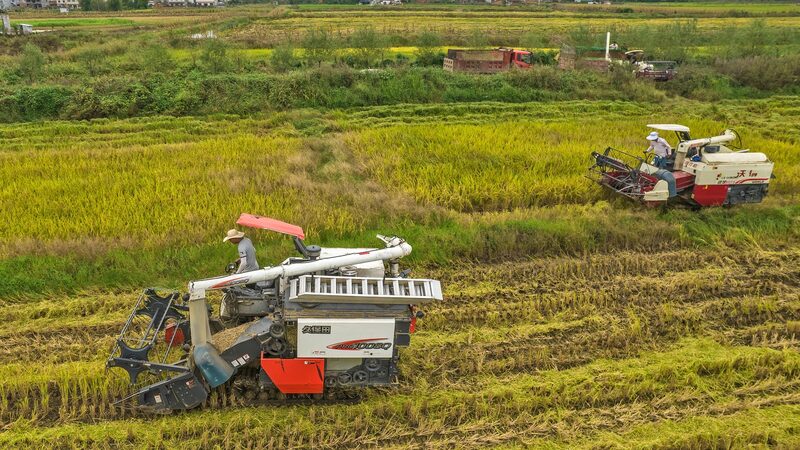 Safeguarding Farm Produce: Chinese Premier’s Food Security Call