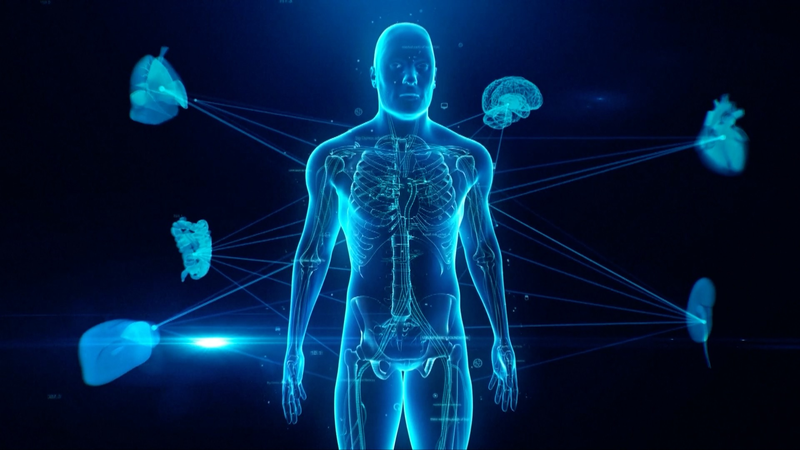 Breakthrough in Human Cell Lineage Research in Guangzhou Breakthrough_in_Human_Cell_Lineage_Research_in_Guangzhou video poster