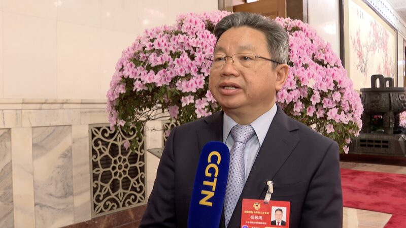 CPPCC_Vice_Chair_Criticizes_DPP_s_Education___Travel_Policies_poster - News for amigos, by amigos CPPCC_Vice_Chair_Criticizes_DPP_s_Education___Travel_Policies video poster