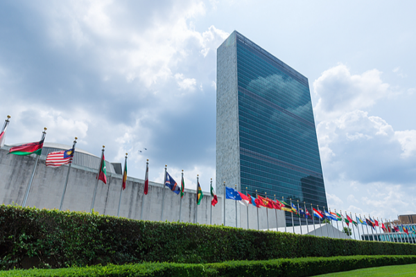 China_Champions_True_Multilateralism___UN_Central_Role