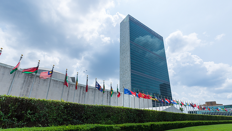 China_Champions_True_Multilateralism___UN_Central_Role - News for amigos, by amigos China_Champions_True_Multilateralism___UN_Central_Role