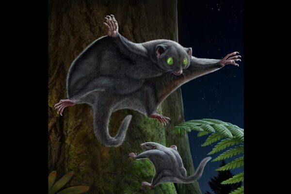 Dark Fur Secrets: Early Mammals Outsmarted Dinosaurs Dark_Fur_Secrets__Early_Mammals_Outsmarted_Dinosaurs