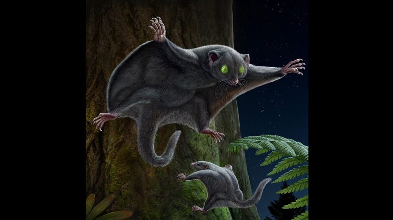 Dark_Fur_Secrets__Early_Mammals_Outsmarted_Dinosaurs - News for amigos, by amigos Dark_Fur_Secrets__Early_Mammals_Outsmarted_Dinosaurs