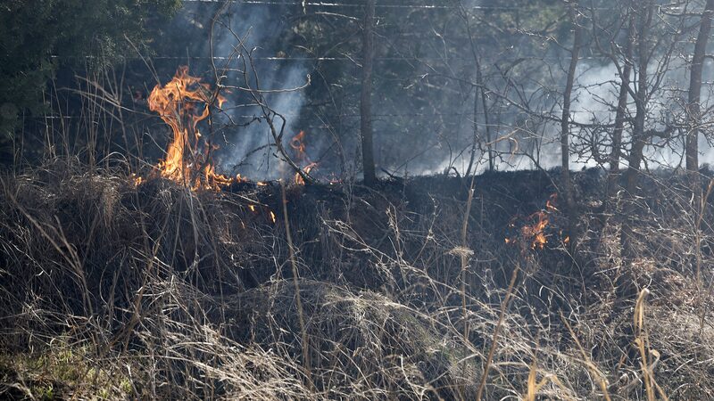 Deadly_Storm_Hits_8_U_S__States__42_Lives_Lost - News for amigos, by amigos Deadly_Storm_Hits_8_U_S__States__42_Lives_Lost