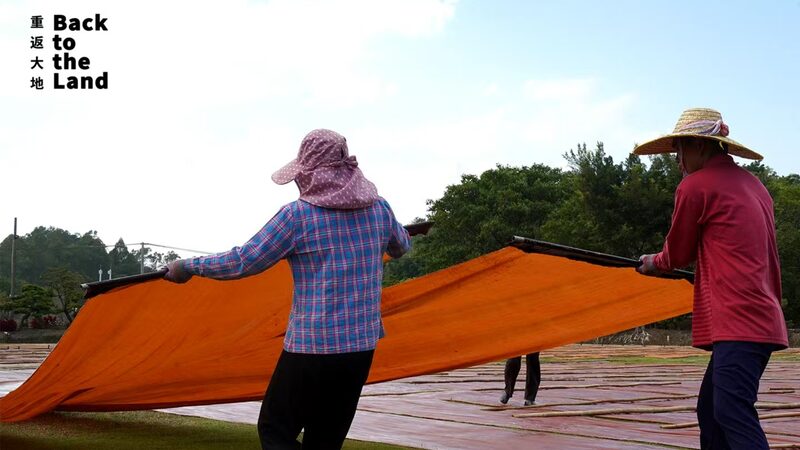 Discover_Gambiered_Guangdong_Gauze__Earth_Inspired_Artistry___ - News for amigos, by amigos Discover_Gambiered_Guangdong_Gauze__Earth_Inspired_Artistry___