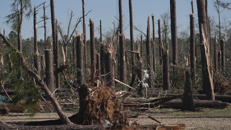 Extreme_U_S__Storms__Tornadoes__Fire__Dust_Claim_37_Lives - News for amigos, by amigos Extreme_U_S__Storms__Tornadoes__Fire__Dust_Claim_37_Lives