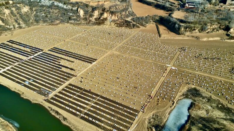 From_Wasteland_to_Spice_Paradise__30M_Chili_Seedlings_Thrive_in_Shanxi_poster - News for amigos, by amigos From_Wasteland_to_Spice_Paradise__30M_Chili_Seedlings_Thrive_in_Shanxi video poster