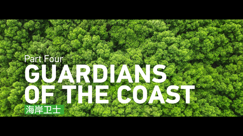 Guardians_of_the_Coast__Reviving_Mangroves_in_the_South_China_Sea video poster
