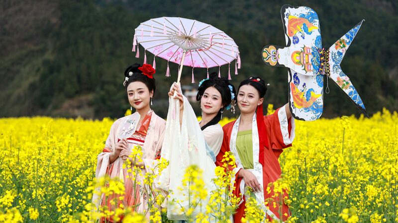 Hanfu_Elegance_in_Guizhou_s_Golden_Rapeseed_Fields