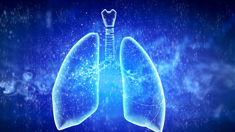 New_Tech_Shifts_Gears_in_Drug_Resistant_TB_Battle - News for amigos, by amigos New_Tech_Shifts_Gears_in_Drug_Resistant_TB_Battle