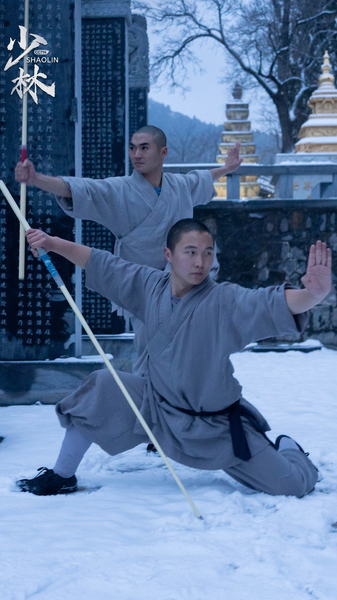 Shaolin_Kung_Fu__Power__Speed___Synergy_in_Action video poster