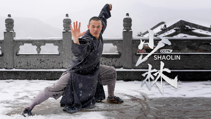 Shaolin_in_Action__Poise__Power___Precision-4 - News for amigos, by amigos Shaolin_in_Action__Poise__Power___Precision