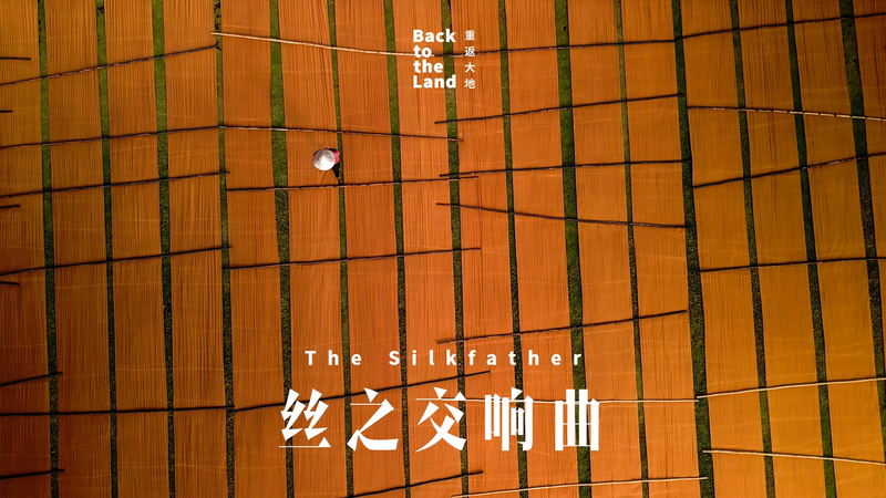 Silkfather__Preserving_Guangdong_s_Gambiered_Silk_Legacy video poster