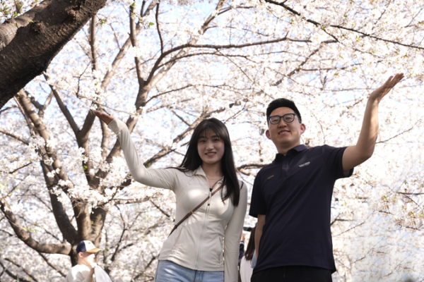 Spring_Tech_Bloom__When_Poetry_Meets_Code video poster