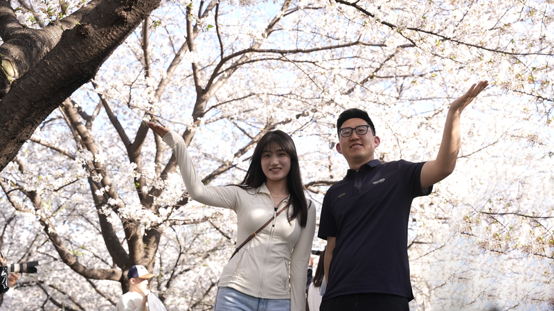 Spring_Tech_Bloom__When_Poetry_Meets_Code_poster - News for amigos, by amigos Spring_Tech_Bloom__When_Poetry_Meets_Code video poster