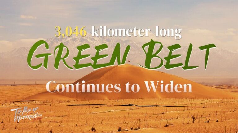 Taklimakan_Desert_s_3_046_km_Green_Belt__Nature___Local_Wisdom_Unite video poster