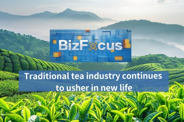 Traditional_Tea_Harvest_Ushers_New_Life_on_the_Chinese_Mainland video poster