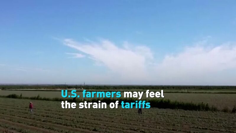 US_Farmers_Brace_for_Impact_as_New_Tariffs_Take_Hold video poster