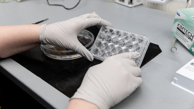 US_Science_Exodus__75__of_Researchers_Eye_Global_Moves - News for amigos, by amigos US_Science_Exodus__75__of_Researchers_Eye_Global_Moves