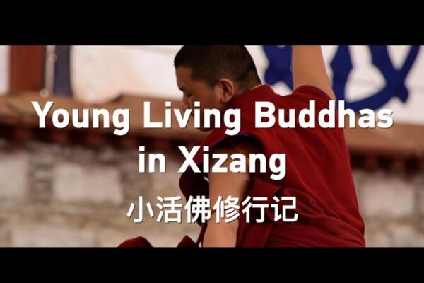 Young Living Buddhas: Tradition Meets Modern Education in Xizang Young_Living_Buddhas__Tradition_Meets_Modern_Education_in_Xizang video poster