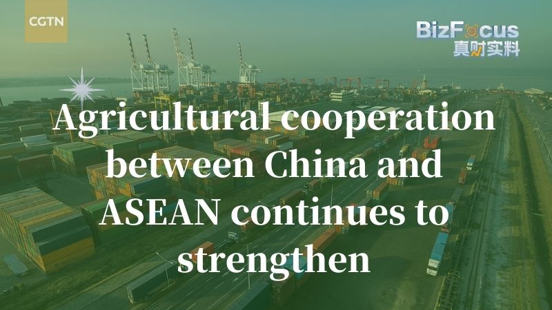 ASEAN_s__34_73B_Agricultural_Surge_with_the_Chinese_Mainland_in_2024_ - News for amigos, by amigos ASEAN_s__34_73B_Agricultural_Surge_with_the_Chinese_Mainland_in_2024_