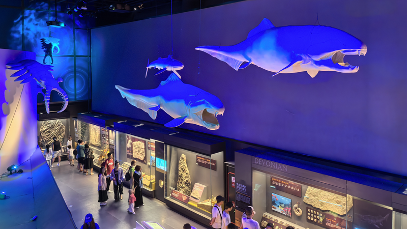 Ancient_Fossils_Reveal_the_Ocean_s_Evolutionary_Legacy - News for amigos, by amigos Ancient_Fossils_Reveal_the_Ocean_s_Evolutionary_Legacy