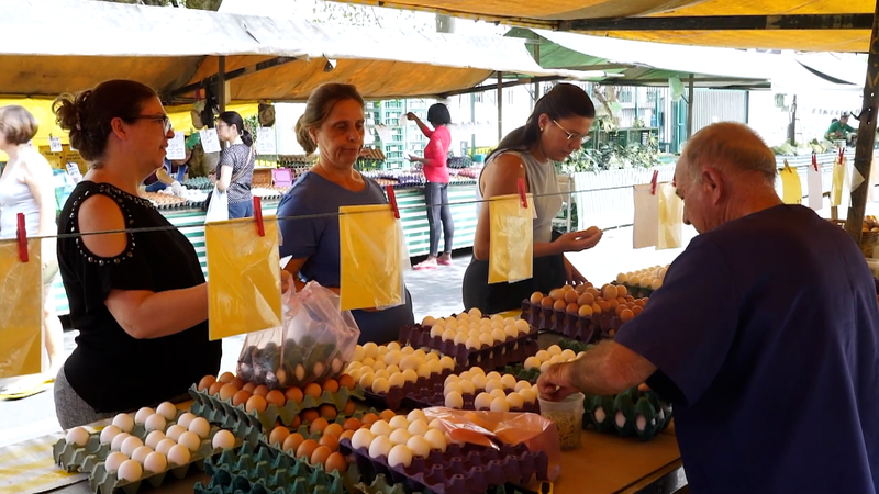 Brazil_s_Egg_Prices_Soar_Amid_Heat_Waves_and_U_S__Demand_poster - News for amigos, by amigos Brazil_s_Egg_Prices_Soar_Amid_Heat_Waves_and_U_S__Demand video poster