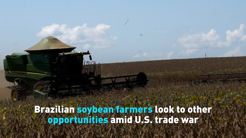 Brazil_s_Soybean_Surge__New_Paths_Amid_U_S__Trade_War video poster