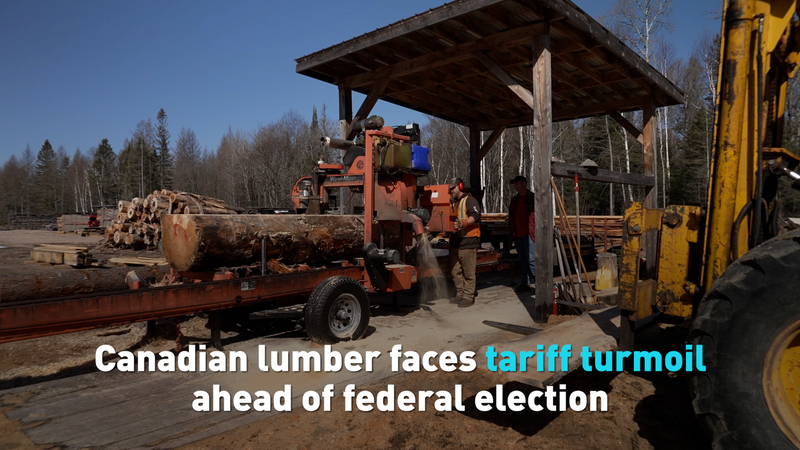 Canadian_Lumber_Faces_Tariff_Turbulence_poster - News for amigos, by amigos Canadian_Lumber_Faces_Tariff_Turbulence video poster