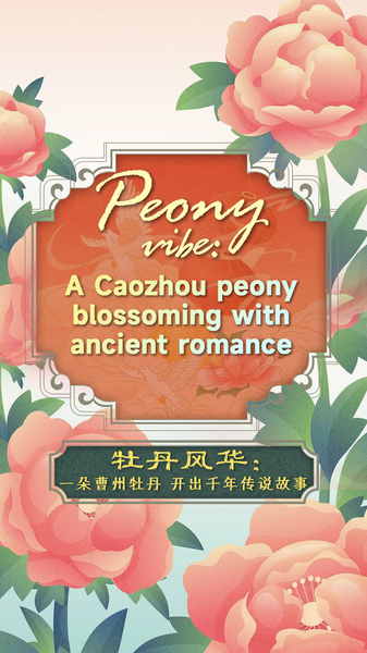 Caozhou_Peony__Legends_in_Full_Bloom video poster