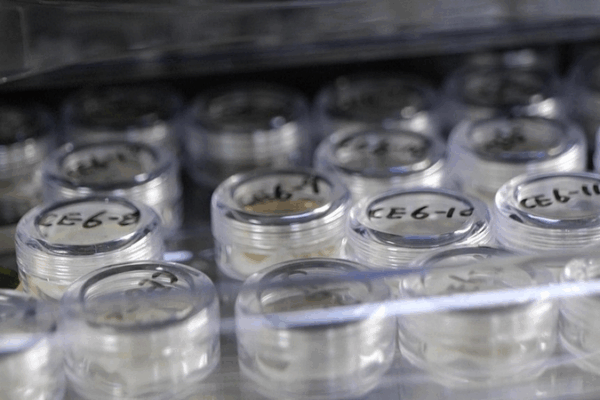 China Opens Moon Rocks to Global Researchers China_Opens_Moon_Rocks_to_Global_Researchers