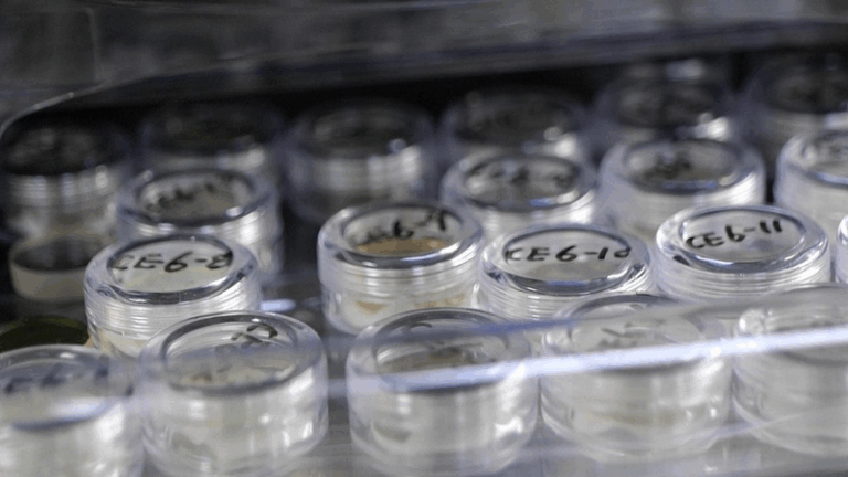 China_Opens_Moon_Rocks_to_Global_Researchers