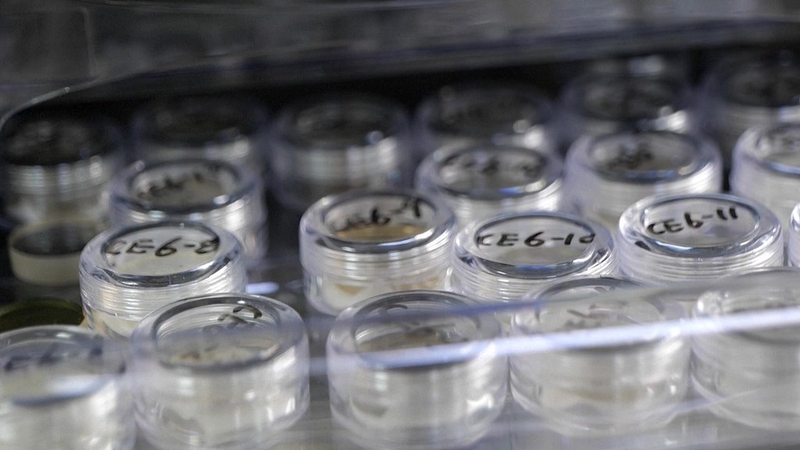 China_Opens_Moon_Rocks_to_Global_Researchers