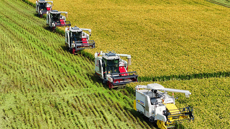 China_s_Bold_Plan_to_Modernize_Agriculture___Rural_Areas