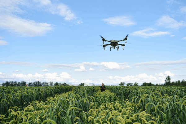 China’s Drone Revolution Transforms Global Farming China_s_Drone_Revolution_Transforms_Global_Farming
