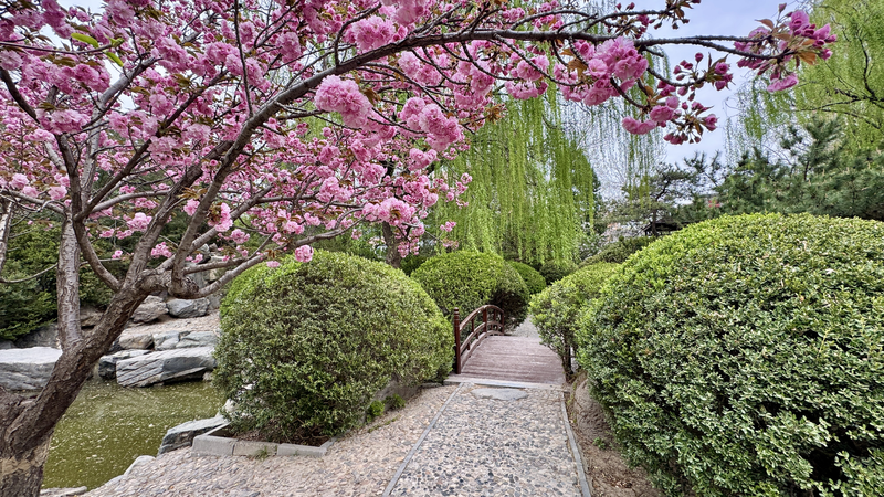 Discover_Shuangxiu_Park_s_Dual_Garden_Charm_poster - News for amigos, by amigos Discover_Shuangxiu_Park_s_Dual_Garden_Charm video poster