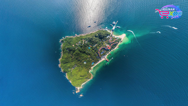 Dive_Live__Wuzhizhou_Island_s_Mesmerizing_Ocean_Wonders video poster