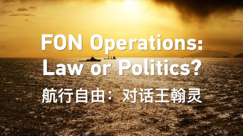 FON__Law_or_Politics__Expert_Weighs_In_poster - News for amigos, by amigos FON__Law_or_Politics__Expert_Weighs_In video poster