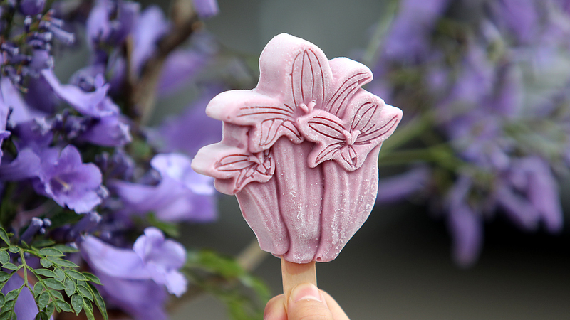 Floral_Popsicles__Where_Art_Meets_Delicious_Summer_Flavor