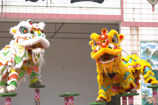 From Tiny Fans to Lion Dance Masters: Tradition Roars On From_Tiny_Fans_to_Lion_Dance_Masters__Tradition_Roars_On video poster
