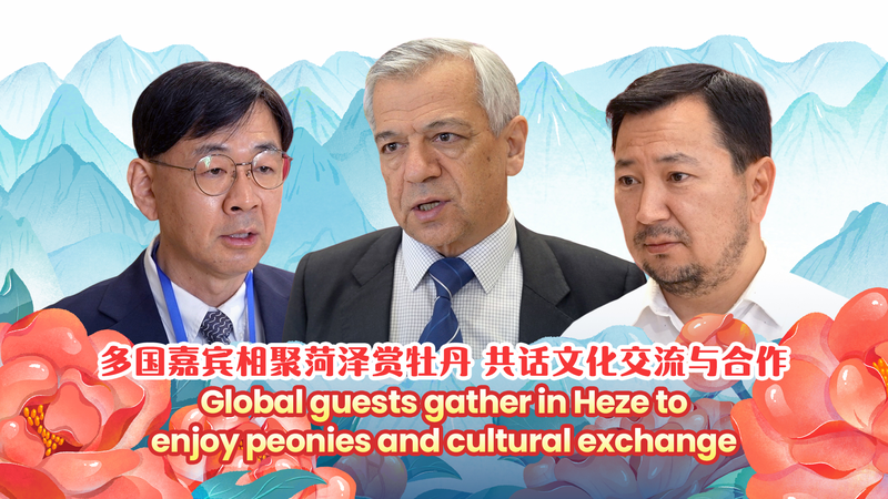 Global_Guests_Embrace_Heze_s_Vibrant_Peony_Festival_poster - News for amigos, by amigos Global_Guests_Embrace_Heze_s_Vibrant_Peony_Festival video poster