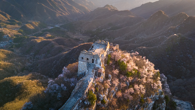 Great_Wall_in_Full_Bloom__Spring_Magic_at_Jiankou - News for amigos, by amigos Great_Wall_in_Full_Bloom__Spring_Magic_at_Jiankou