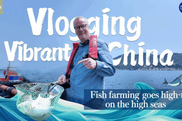 High Tech High Seas: Chinese Mainland’s Fish Farming Revolution High_Tech_High_Seas__Chinese_Mainland_s_Fish_Farming_Revolution video poster