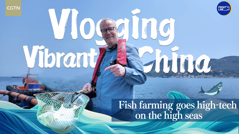 High_Tech_High_Seas__Chinese_Mainland_s_Fish_Farming_Revolution video poster