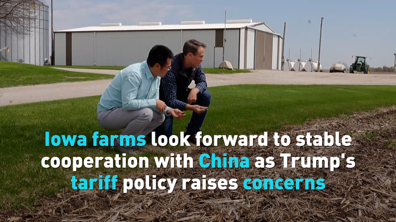 Iowa_Farmers_Eye_Stable_Trade_with_China_Amid_Tariff_Challenges video poster