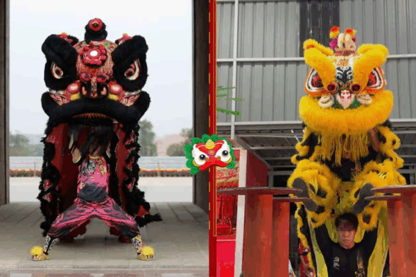 Lion_Dance__Fusion_of_Tradition___Innovation video poster