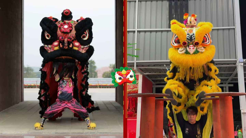 Lion_Dance__Fusion_of_Tradition___Innovation_poster - News for amigos, by amigos Lion_Dance__Fusion_of_Tradition___Innovation video poster