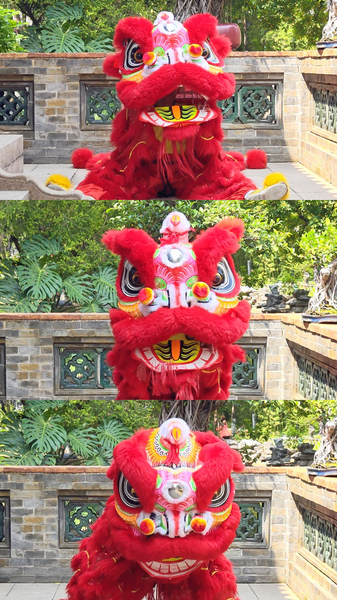 Lion_s_Human_Like_Moments__No_Chill__Only_Fluff__poster - News for amigos, by amigos Lion_s_Human_Like_Moments__No_Chill__Only_Fluff_ video poster